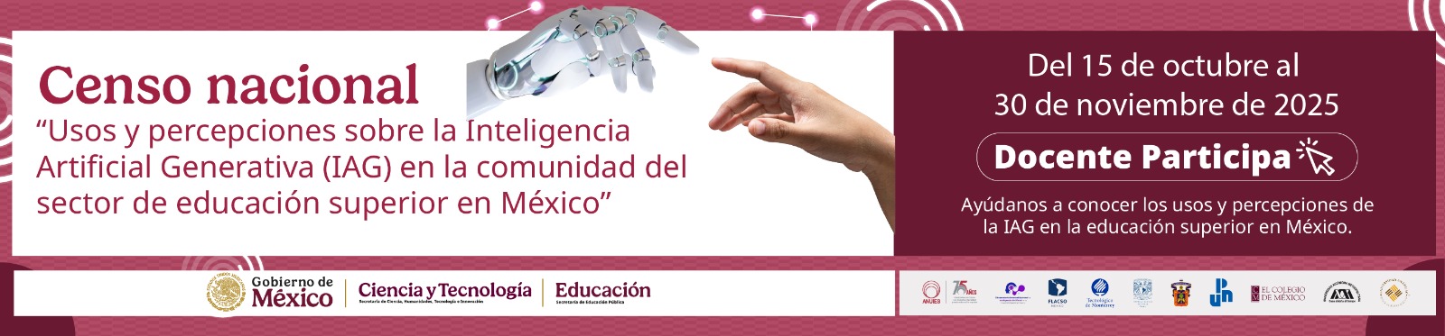 Censo nacional Docentes "Usos y percepciones sobre la Inteligencia Artificial Generativa"